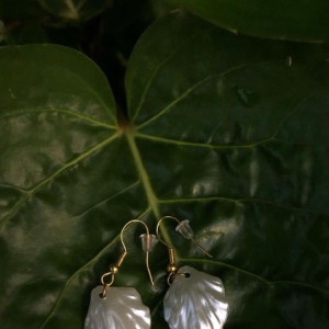 Conch Drop Earrings