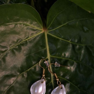 Shell Drop Earrings