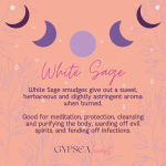 White Sage