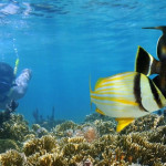 Mactan Island Hopping Day Tour